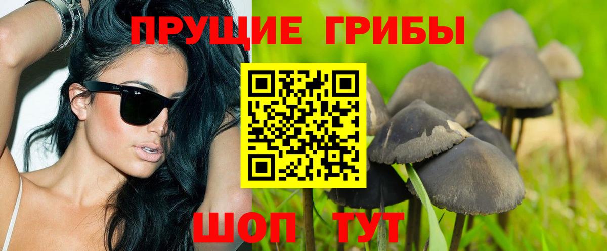 Галлюциногенные грибы мицелий Волгоград