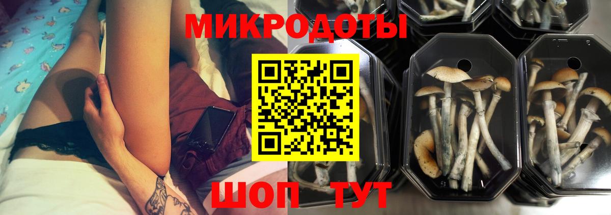 Псилоцибиновые грибы Волгоград