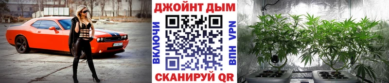 Бошки Шишки конопля  OMG онион  Волгоград  купить  цена 
